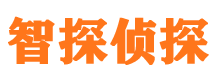 新田出轨调查